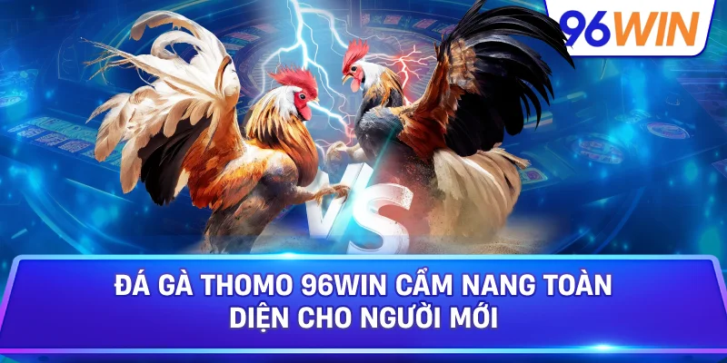 Đá Gà Thomo Góc Nhìn Toàn Diện Dành Cho Người Mới 1 Đá Gà Thomo 96win Cẩm Nang Toàn Diện Cho Người Mới