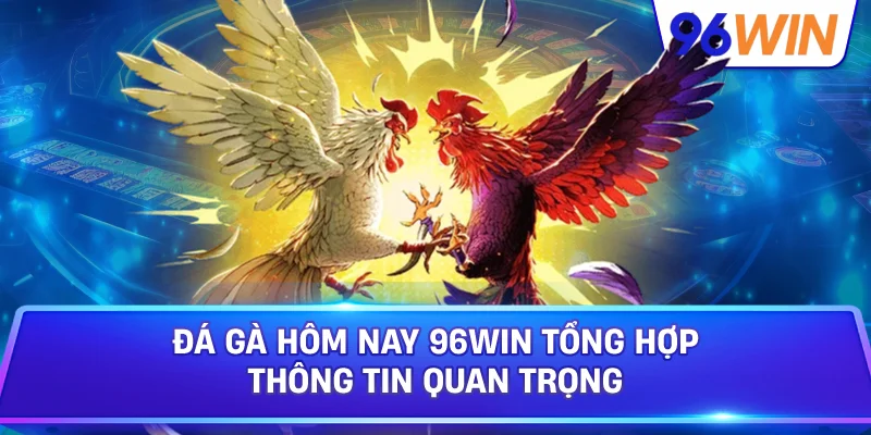 Đá gà hôm nay: Theo dõi lịch đấu và tỷ lệ 2 Đá Gà Hôm Nay 96win Tổng Hợp Thông Tin Quan Trọng