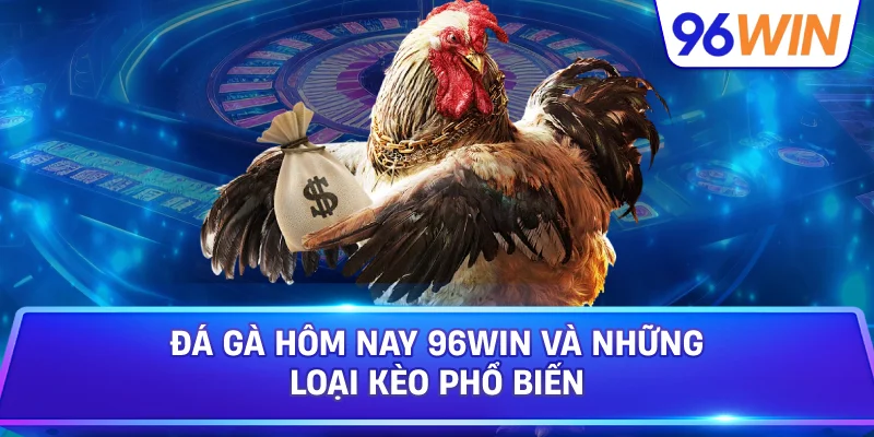 Đá gà hôm nay: Theo dõi lịch đấu và tỷ lệ 3 Đá Gà Hôm Nay 96win Và Những Loại Kèo Phổ Biến