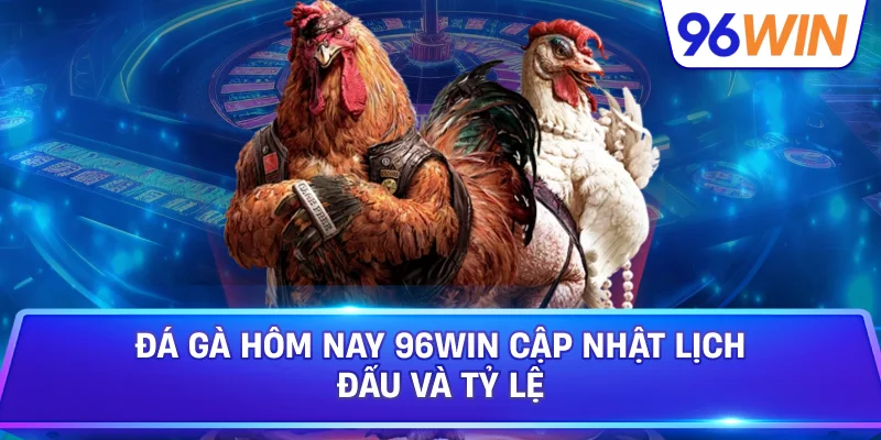 Đá gà hôm nay: Theo dõi lịch đấu và tỷ lệ 1 Đá Gà Hôm Nay 96win Cập Nhật Lịch Đấu Và Tỷ Lệ