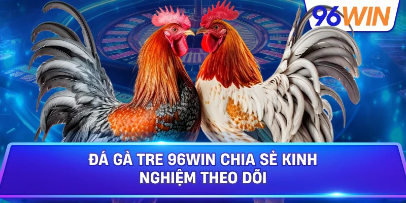 Đá Gà Tre 96win Chia Sẻ Kinh Nghiệm Theo Dõi