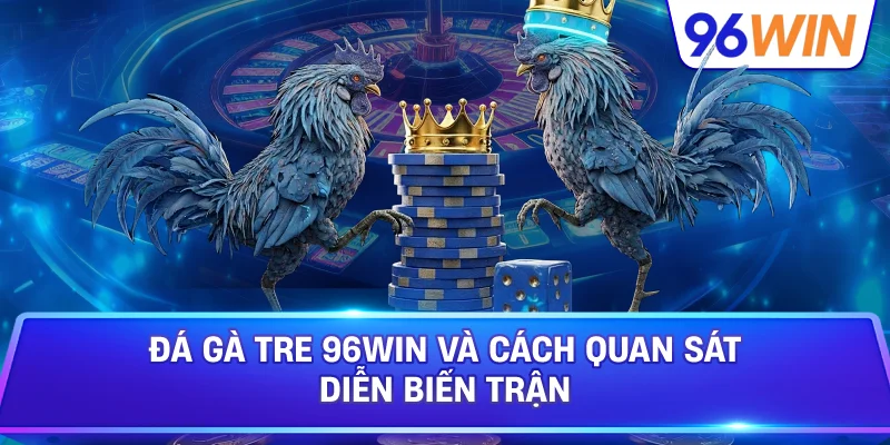 Đá Gà Tre 96win Và Cách Quan Sát Diễn Biến Trận