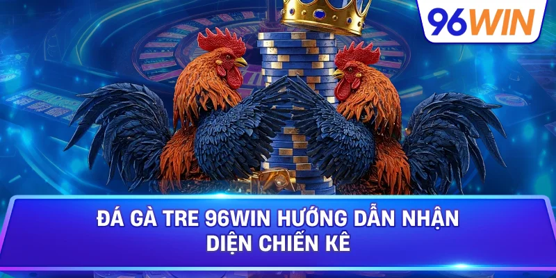 Đá Gà Tre 96win Hướng Dẫn Nhận Diện Chiến Kê